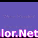 Sensual Massage Bitches Riding Hard Fuck